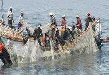श्रीलंका में रिहा ये 56 भारतीय मछुआरे अब इस केंद्र में भेजे जाएंगे फाइल फोटो : साभार सोशल मीडिया