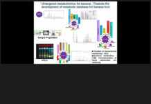 डॉ आशुतोष पांडे ने रेग्युलेटरी प्रोटीन की पहचान पर दिया जोर