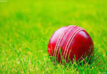 मैकेनिकल फ्यूल्स और आपरेटिंग एवेंजर्स विजयी प्रतीकात्मक चित्र : सोशल मीडिया