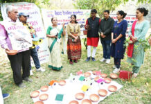 अपने आंगन में भी नन्ही गौरैया काे बुलाने के लिए करनी होगी ये कोशिश