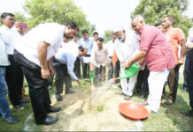 जलशक्ति मंत्री ने पीजीआई स्थित दीनदयाल उपाध्याय पार्क में किया वृक्षारोपण