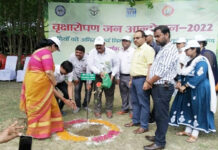 पर्यावरण विशेषज्ञों ने बताया वृक्षों का महत्व, जनेश्वर मिश्र पार्क में हुआ वृक्षारोपण