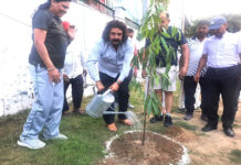 केडी सिंह बाबू स्टेडियम में भी रही वृक्षारोपण की धूम
