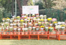 गुलदाउदी एवं कोलियस प्रदर्शनी देखने के लिए काफी संख्या में पहुंचे लोग