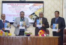 शैक (लाइकेन) वर्गीकरण के महत्व, औषधीय अध्ययन व अनुप्रयोगों पर जोर