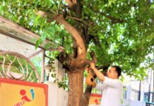 अपने-अपने संसाधनों से गौरैया के संरक्षण में सभी योगदान अवश्य दें