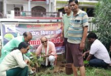 पार्क की सफाई घास की कटाई के बाद हुआ वृक्षारोपण