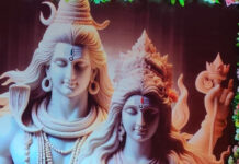 संकट आए तो कृष्ण चरणों का आश्रय ले : आचार्य सुधीर कृष्ण शास्त्री