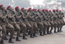 वीर जवानों ने दुश्मन के कमांडर को धर दबोचा, कांबेट फ्री फाल से मैदान में उतरे