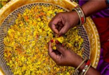 अयोध्या धाम में मंदिर होंगे स्वच्छ, ईश के चरणों में चढ़े फूलों से बनाई जाएगी धूप