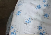 कुछ इस तरह लखनऊ स्पोर्ट्स जर्नलिस्ट एसोसिएशन की पड़ी थी नींव