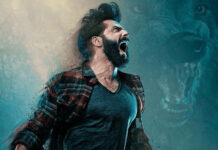 Stree 2 : भेड़िया के रोल में वरुण का कैमियो, भेड़िया-2 का शूट 2025 में