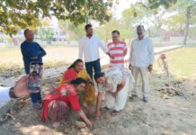 पार्षद दीपक लोधी ने पौधरोपण कर नवनिर्मित पार्क का किया उद्घाटन