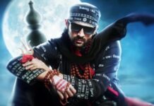 Bhool Bhulaiyaa 3 : बड़े डांस सीक्वेंस में दिखेंगे कार्तिक आर्यन व विद्या बालन