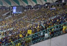 इकाना स्टेडियम में पीतांबर पहन कर क्रिकेट के दीवानों ने किए माही के दर्शन