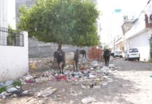 जनसमस्या देख भाजपा के पूर्वी विधायक प्रत्याशी ने कराया मौके पर ही समाधान