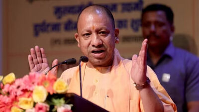 yogi
