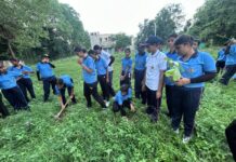 कैंट क्षेत्र में एनसीसी कैडेट्स ने लगाए 500 से अधिक पौधे