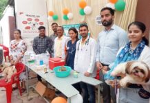 पेट्स का हुआ नि:शुल्क टीकाकरण, स्वास्थ्य परीक्षण