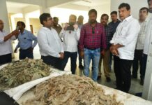 गोमाता की सेवा मनुष्य जीवन के लिए बहुत ही सुखद और फलदाई