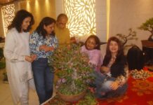 गमले में सुन्दर वृक्ष का रूप ही वास्तविक बोनसाई : फहद