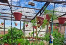 762 निकायों के वार्डों में हुआ ‘स्वच्छ घर’ का चयन