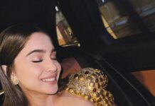 शरवरी वाघ के दीपावली लुक में दिखा देसी फ्लेवर