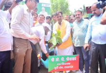 कुकरैल स्थित ऑक्सी वन में रोपे गए 200 पौधे