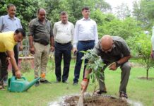 ‘एक पेड़ माँ के नाम’ : कारागार प्रशासन ने दिया हरियाली का संदेश