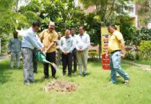 नेत्र जांच से लेकर पौधरोपण, कारागार मुख्यालय में कलम संस्था की अनूठी पहल