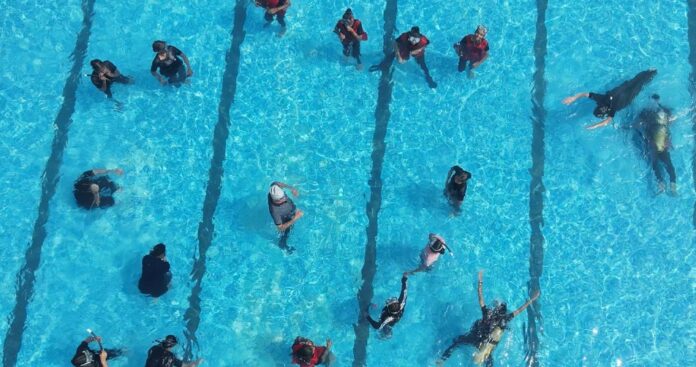 WhatsApp Image 2025-10-16 at 18.18.19_911d6231