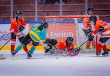 शाम वुल्व्स, हमस वॉरियर्स और शाम ईगल्स (महिला) सहित ये टीमें रही विजयी