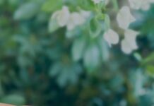 विक्की और कटरीना के बेटे का नाम ‘विहान’, फैंस बोले – ‘उरी’ की याद दिलाई