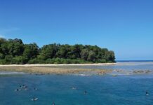 अंडमान – निकोबार की लहरों पर बड़ा सपना, सर्फिंग में भारत का नया ठिकाना