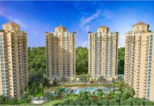 सुकून, हरियाली और लक्ज़री का बेहतरीन मेल ओमेक्स ‘द रिसार्ट’