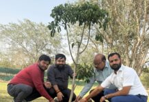 अमरावती स्पोर्ट्स सिटी में वृक्षारोपण, हरित विकास को मिला बढ़ावा