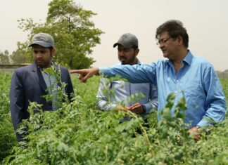 ‘प्रकृति के रंग एएमए के संग’ अभियान के तहत पर्यावरण संरक्षण का संदेश