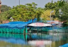 बाढ़ में डूबा नन्हे क्रिकेटरों का मैदान, सपनों पर संकट